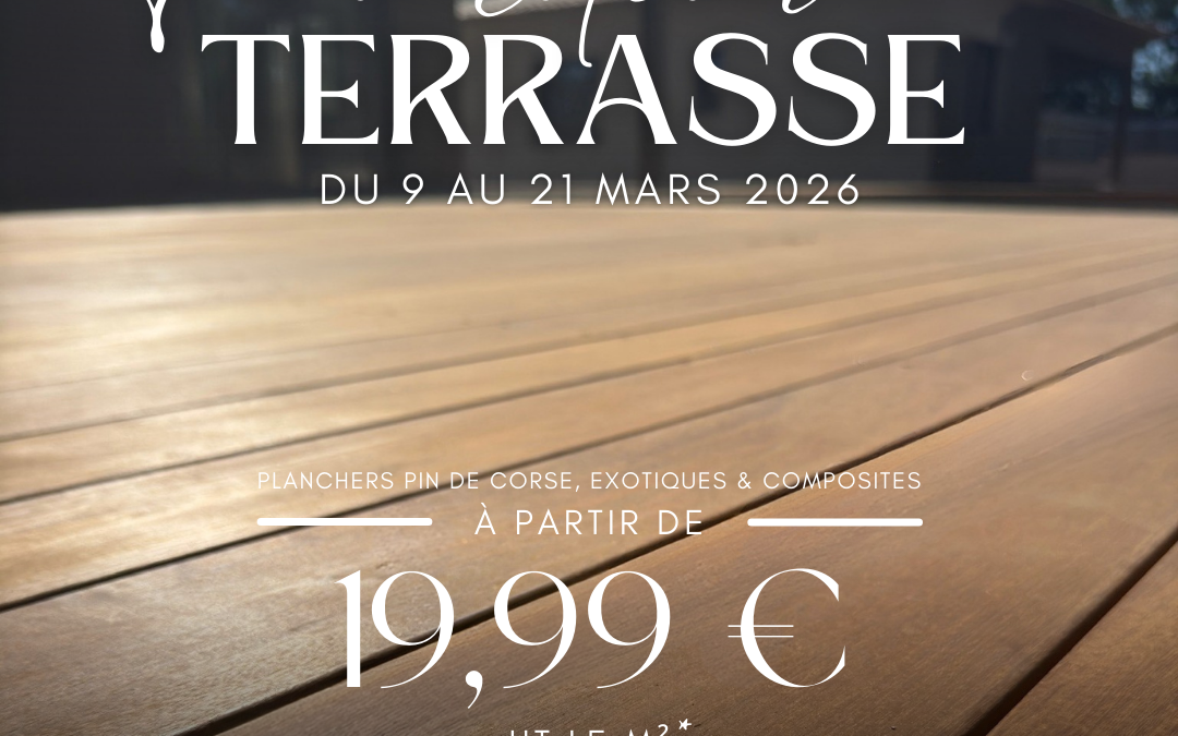 Delta Bois : votre terrasse idéale, notre savoir-faire 🤎